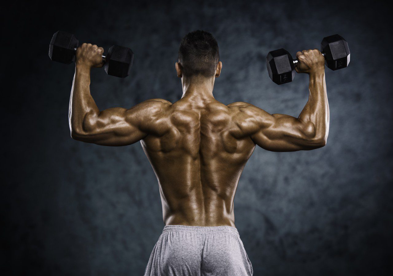 GettyImages-626611954 A muscular man lifts dumbbells above his shoulders, showing a well-defined back, against a dark background.